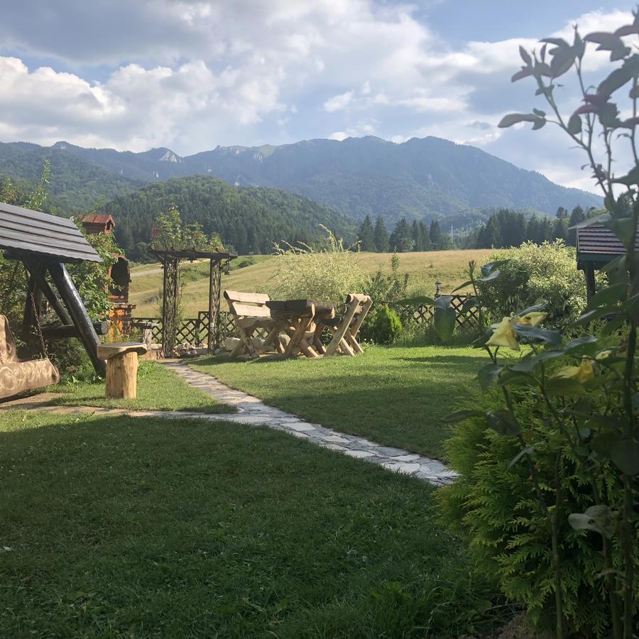 Hot Tub Chalet Retreat Villa Brasov Exterior photo